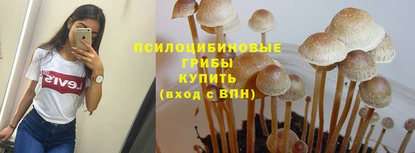 соль ск Алзамай